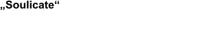„Soulicate“ die (buchbare) Soulband aus Stuttgart