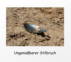 Ungenießbarer Stilbruch