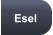 Esel