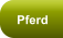 Pferd