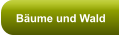 Bäume und Wald