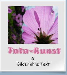 Bilder ohne Text &