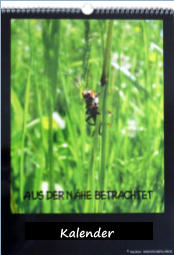 Kalender